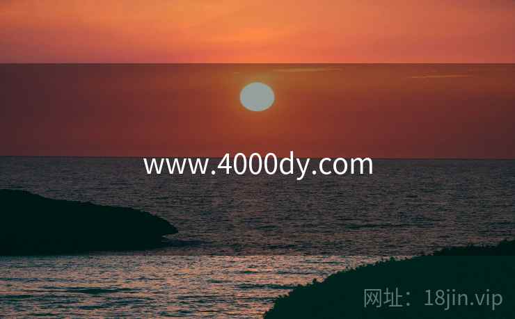 www.4000dy.com