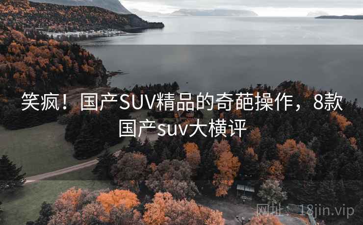 笑疯！国产SUV精品的奇葩操作，8款国产suv大横评