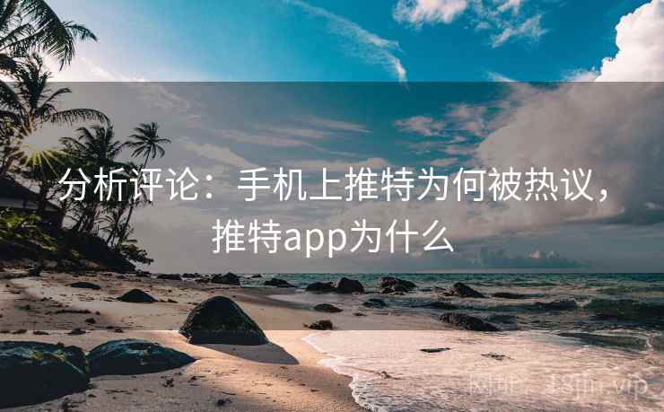 分析评论：手机上推特为何被热议，推特app为什么